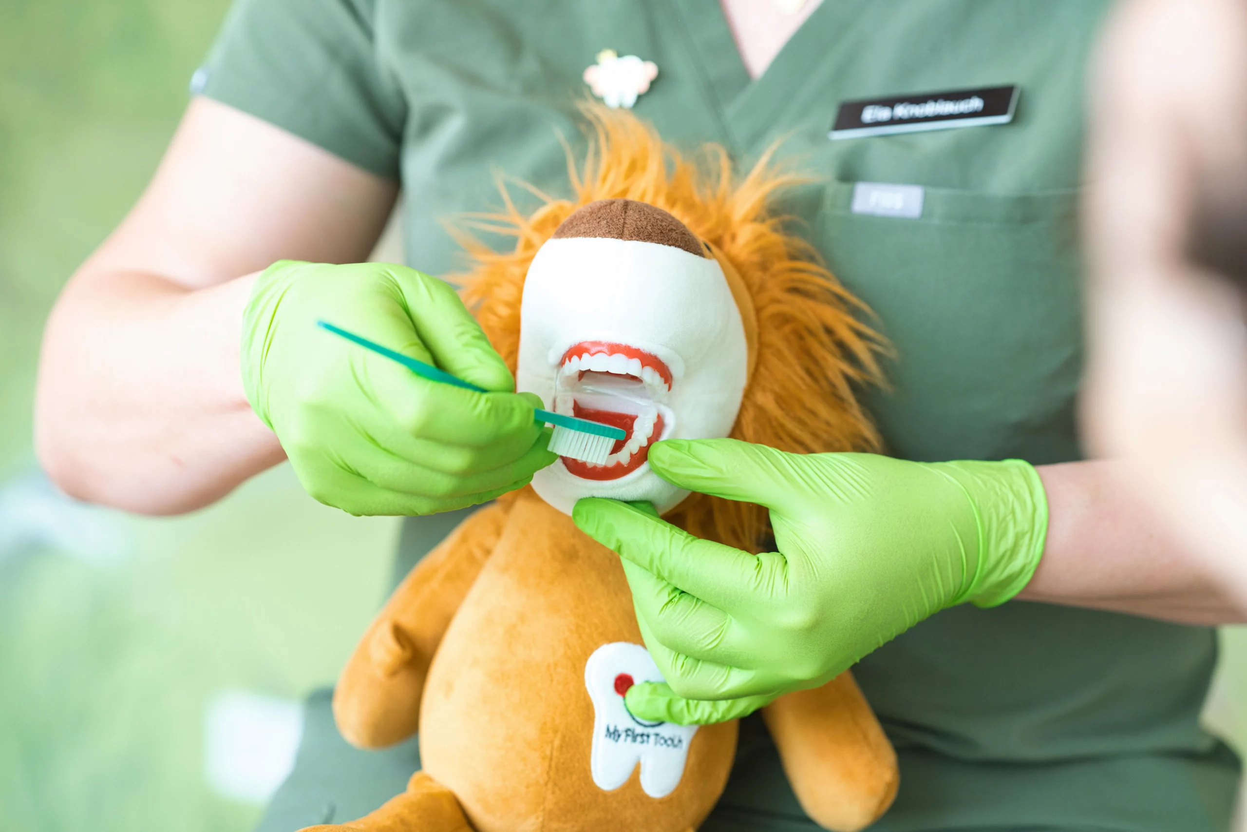Eine Zahnbürste zeigt an den Zähnen einer Löwen-Handpuppe das richtige Zähneputzen.